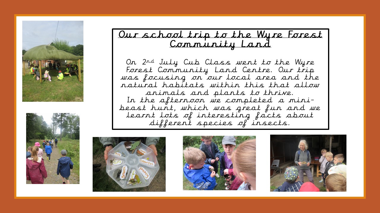 Wyre Forest Community Land- our school trip!