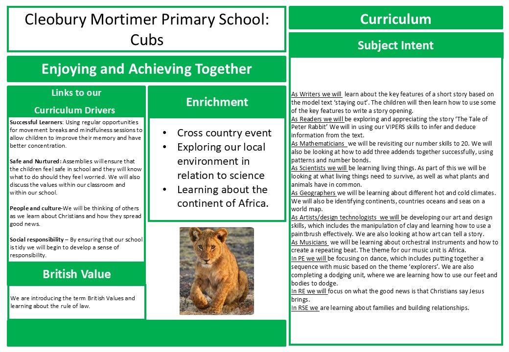 Autumn 1 medium term plan